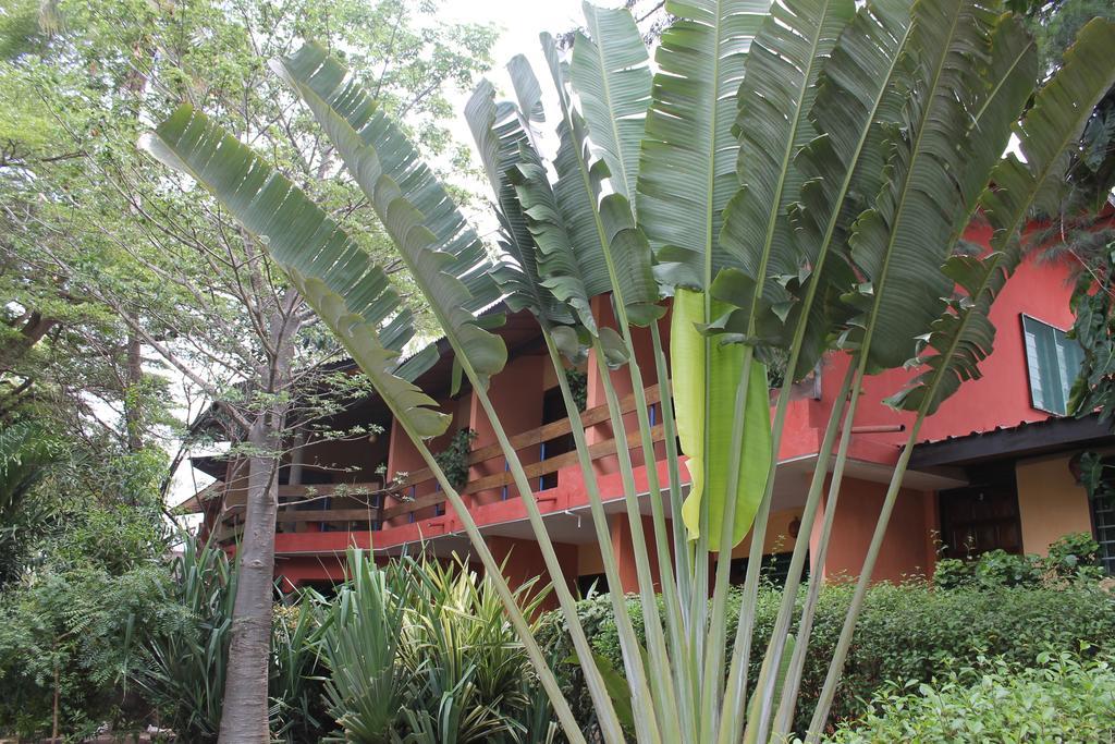 לומה Hotel Napoleon Lagune מראה חיצוני תמונה